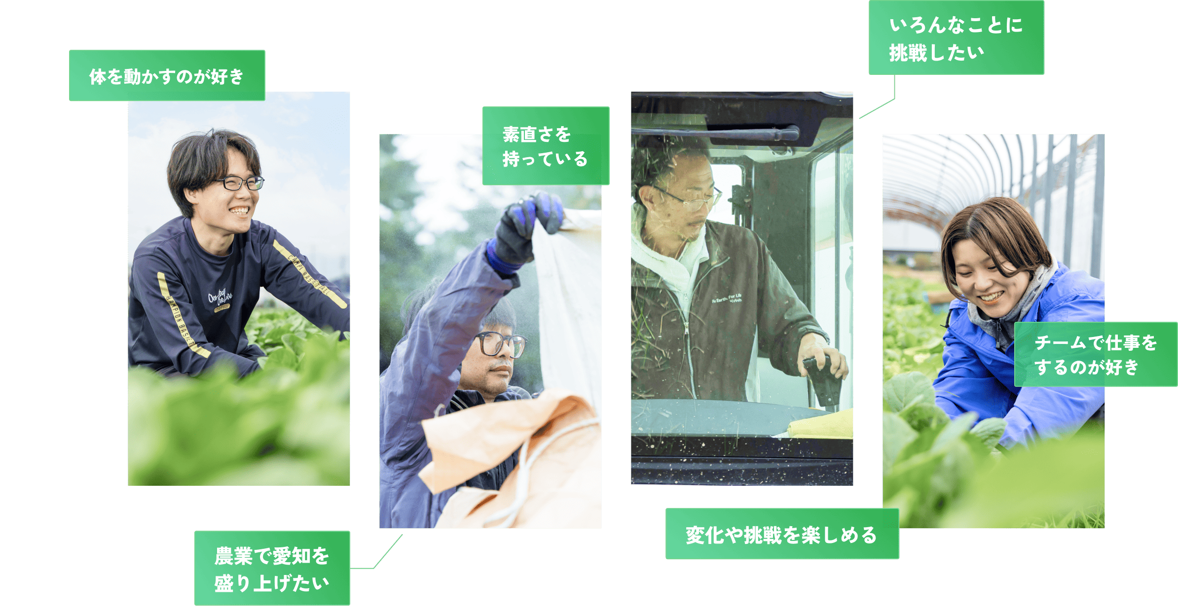 img 身体を動かすのが好き、素直さを持っている、農業で愛知を盛り上げたい、いろんなことに挑戦したい、チームで仕事をするのが好き、変化や朝鮮を楽しめる